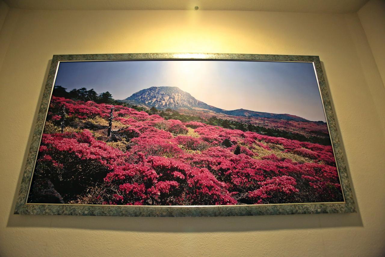 Champion Hotel Jeju Bagian luar foto